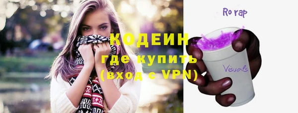 PSILOCYBIN Алзамай