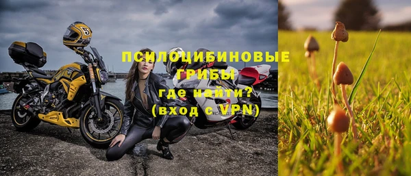PSILOCYBIN Алзамай