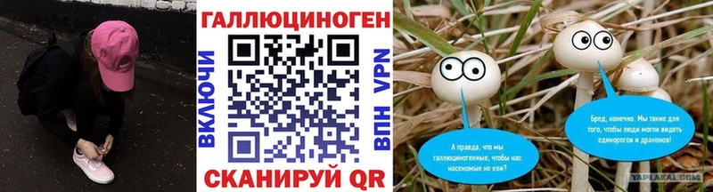 omg зеркало  Котлас  Галлюциногенные грибы Psilocybine cubensis 