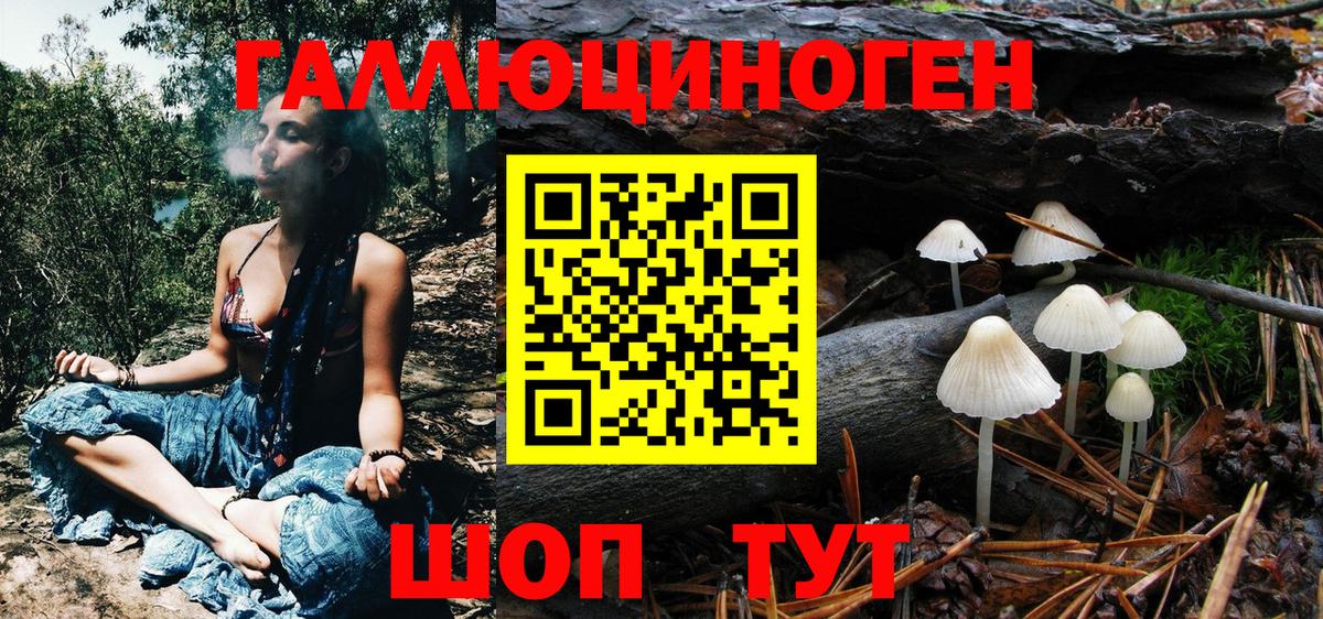 Галлюциногенные грибы MAGIC MUSHROOMS Котлас