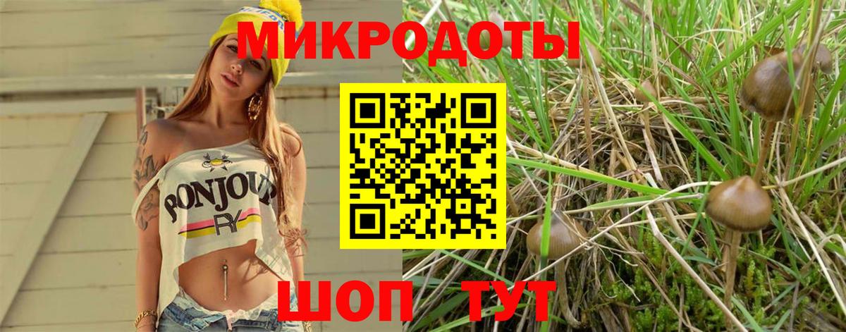 Котлас  Галлюциногенные грибы мицелий  Вход с VPN 